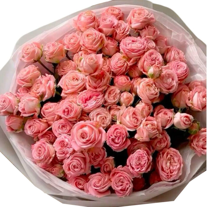 Fifty pink roses