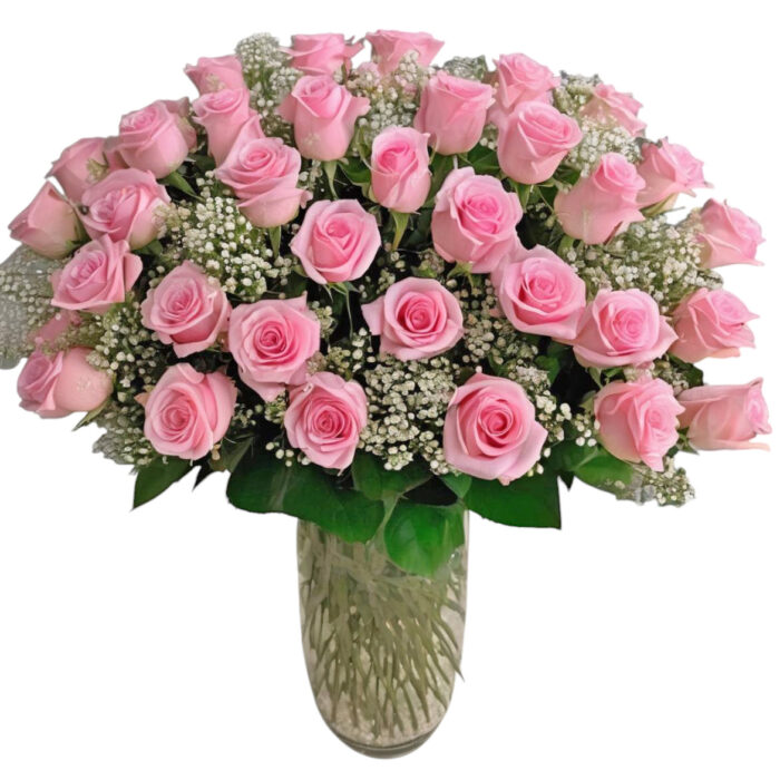 Pink roses with baby breath