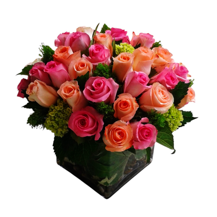 Thirty peach & pink roses2