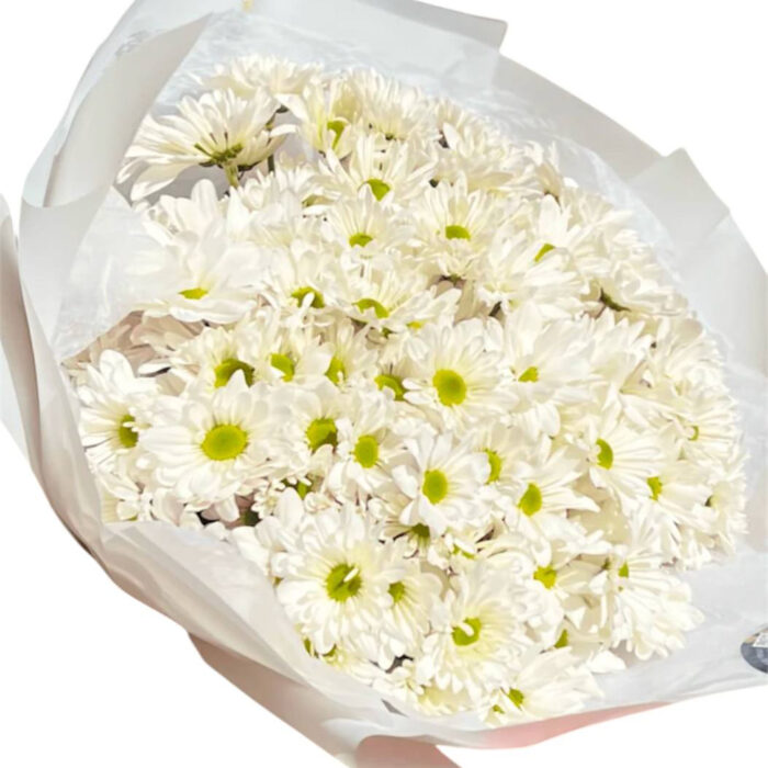 White daisies bouquet