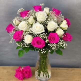 Two dozen white and hot pink roses