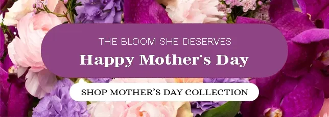 
 Flowers Queen Creek San tan Valley Mothers day