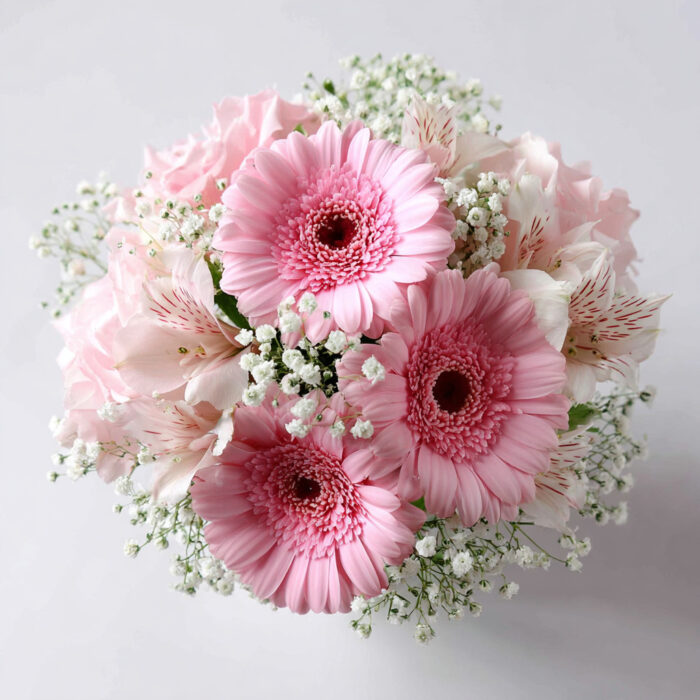 Soft Romance flowers