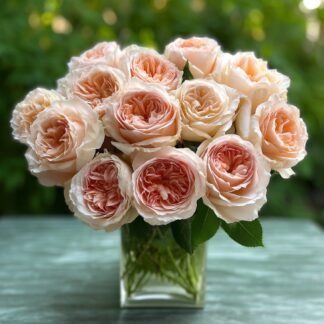 15 Garden Roses in a Cube n