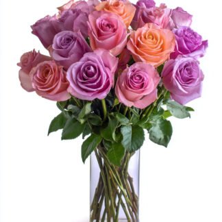 24 lavender and pink