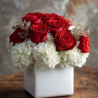 The Red & White Cube offer